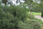 Elgin Valeresidential-landscaping-35.jpg; ?>