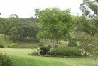 Elgin Valeresidential-landscaping-40.jpg; ?>